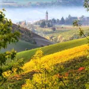 I Musei del Gusto dell'Emilia-Romagna - panorama foto di Anonimo